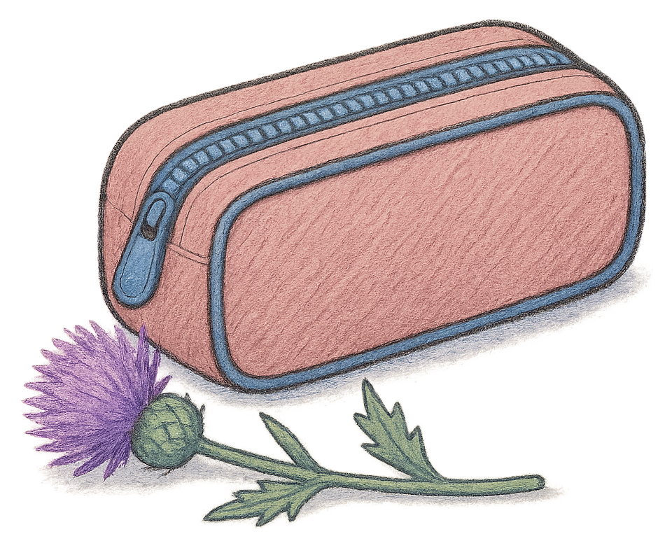 A drawing of a thistle beside a child's pencil case